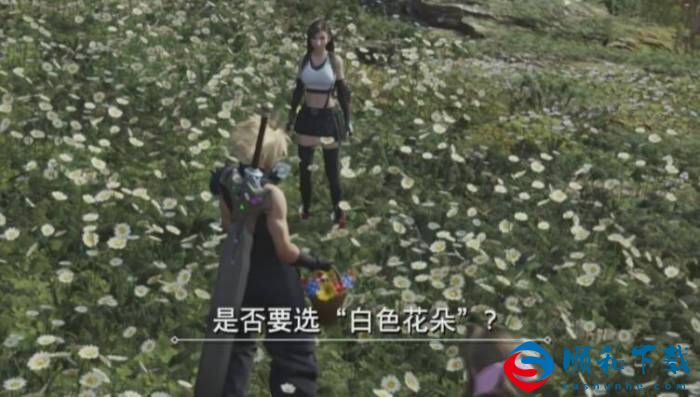 最终幻想7重生山丘上绽放的花位置一览